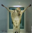 /album/galeria-de-fotos/medium-gallery-hirstfather-gi-afp-1-jpg/